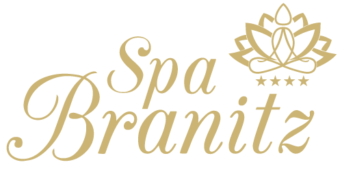 Logo branitz